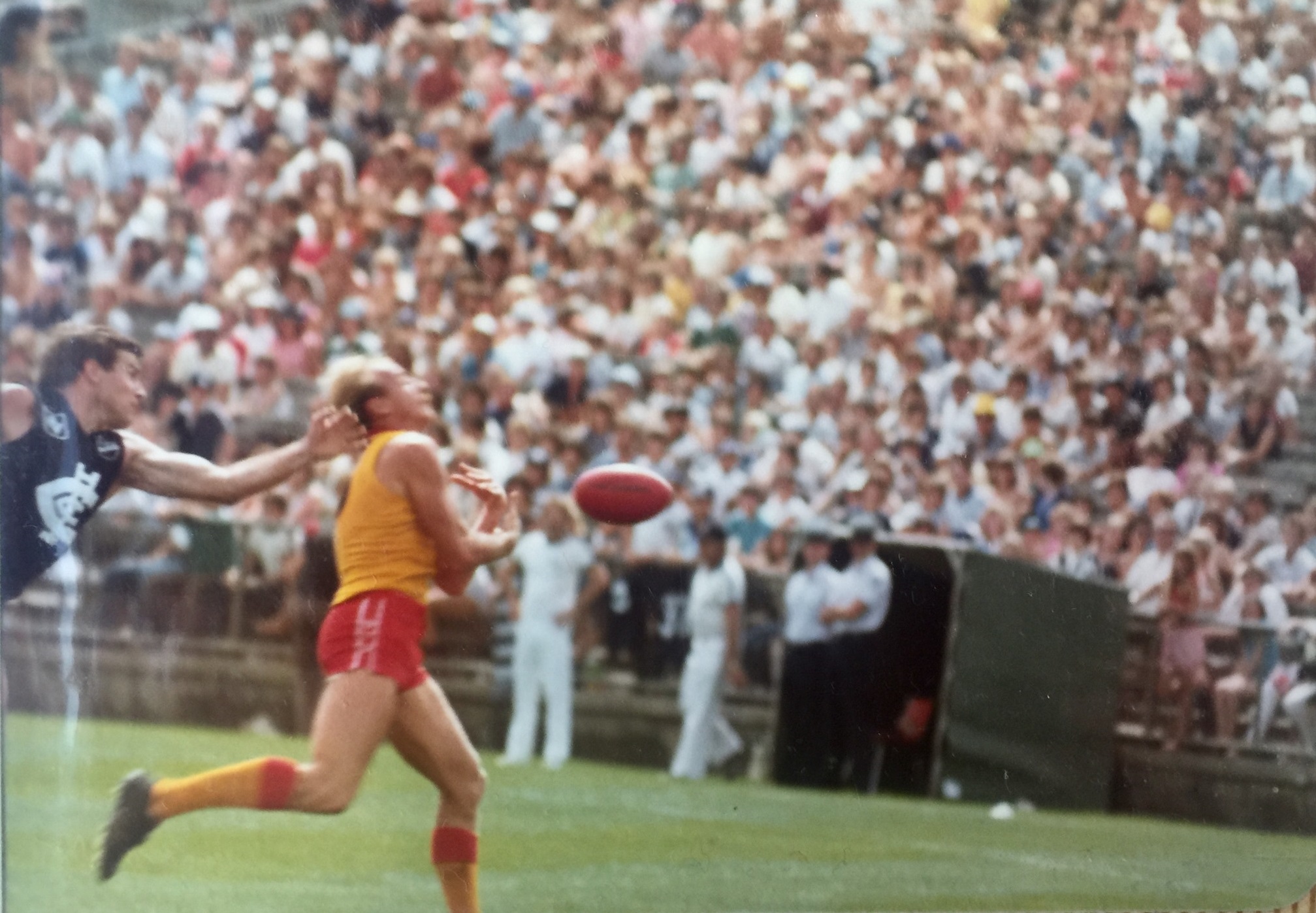 Photo 8275