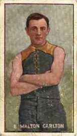 18816.jpg