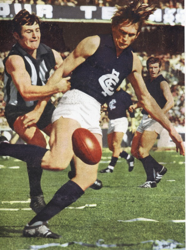 19395.jpg