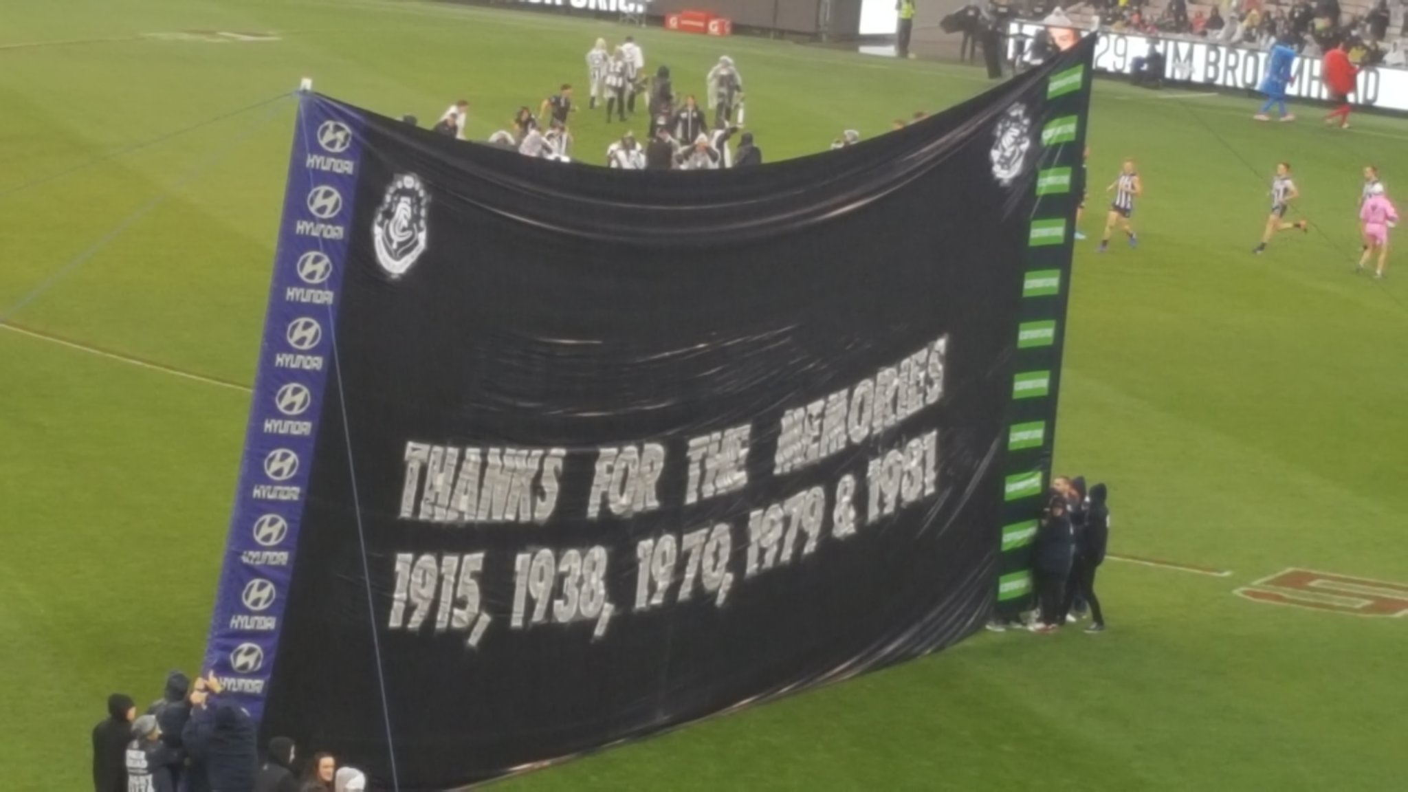 35064.jpg