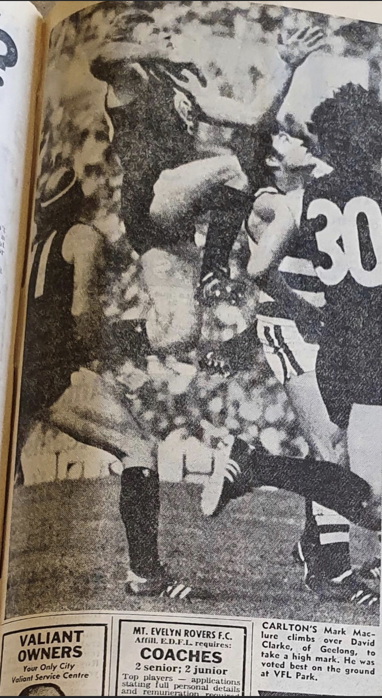 Photo 21988