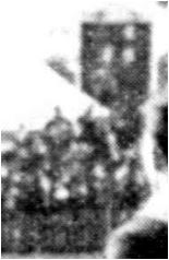 58312.jpg