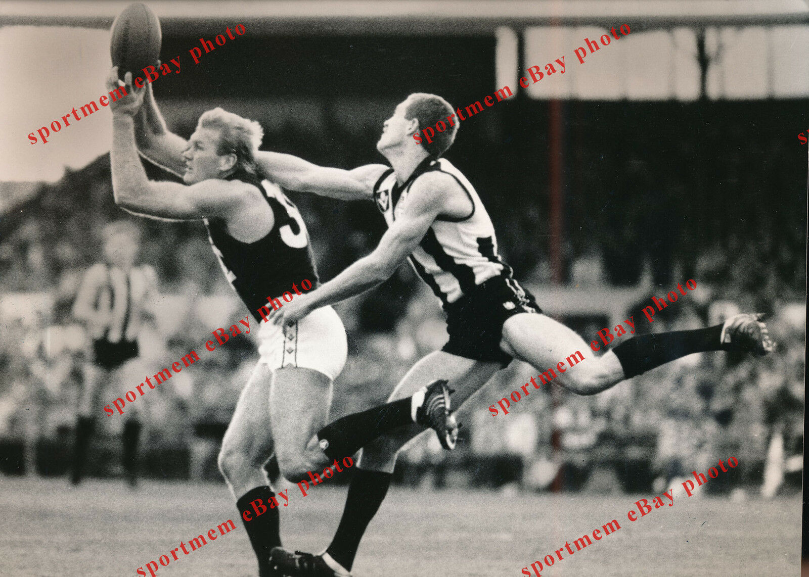 Photo 42197