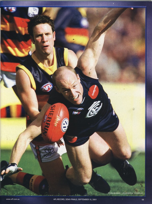 Photo 53371